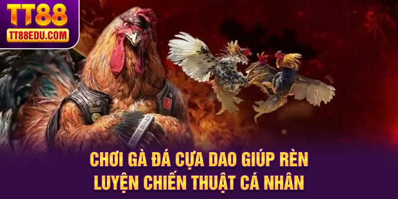 Chơi gà đá cựa dao giúp rèn luyện chiến thuật cá nhân
