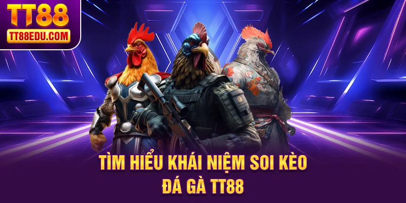 Tìm hiểu khái niệm soi kèo đá gà TT88